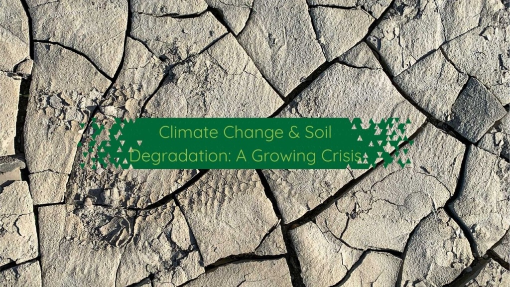 Drought-affected farmland showing soil degradation challenges in India