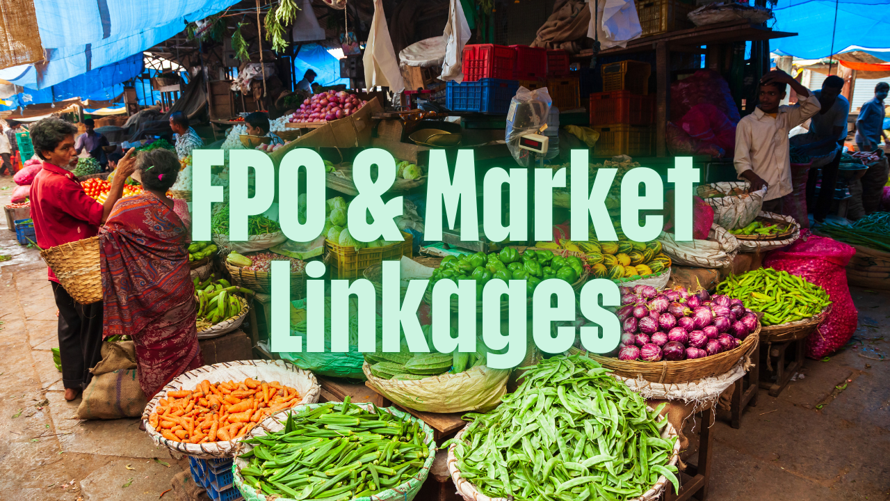 FPO & Market Linkages