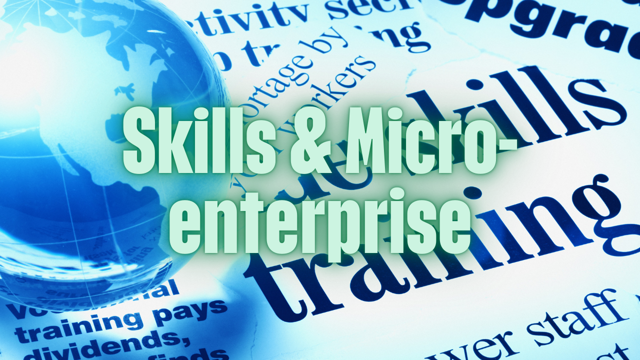 Skills & Micro-enterprise